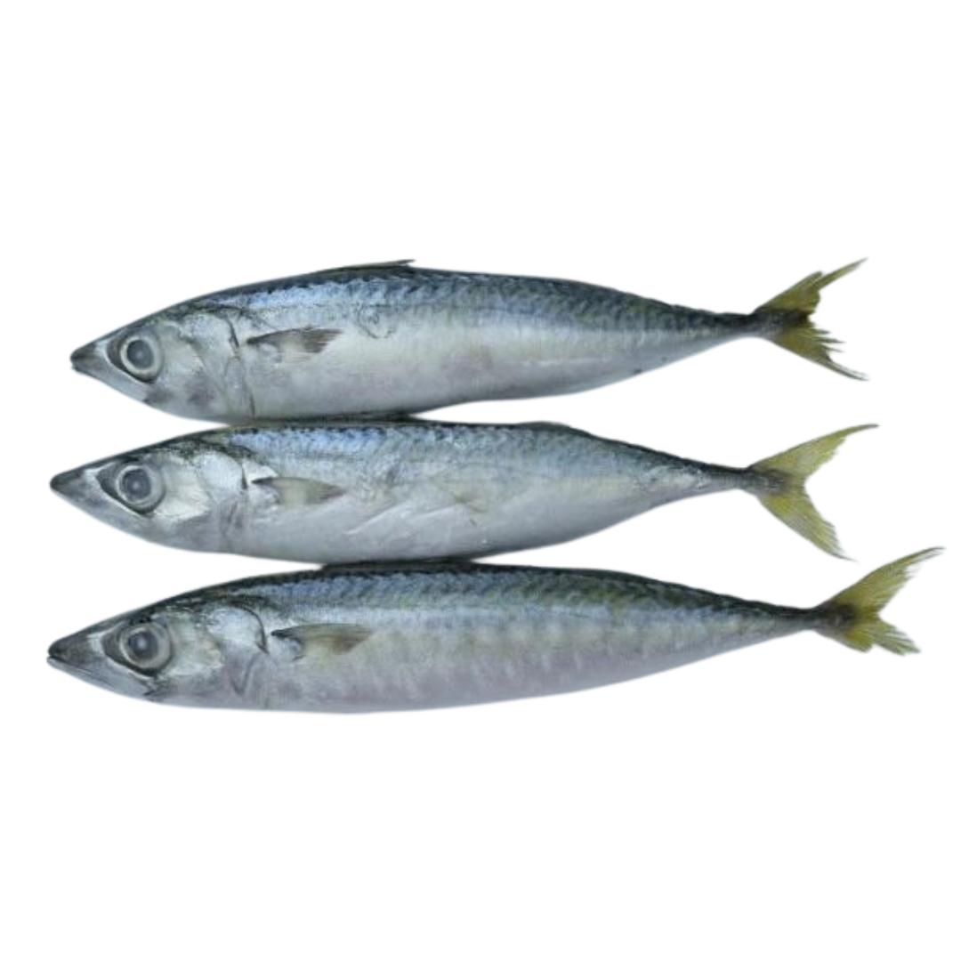 Whole Frozen Mackerel - 1kg