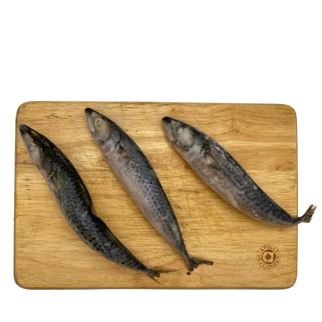 Whole mackerel 2025 for dogs